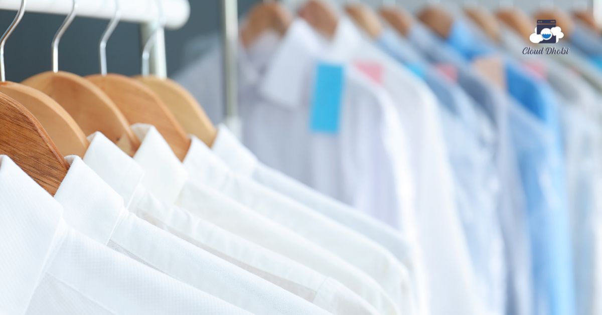 Professional dry cleaning service preserving delicate clothes and saving money