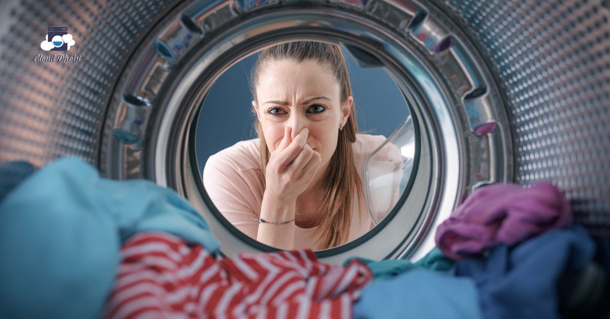Winter laundry hygiene setup with dehumidifier for mold prevention