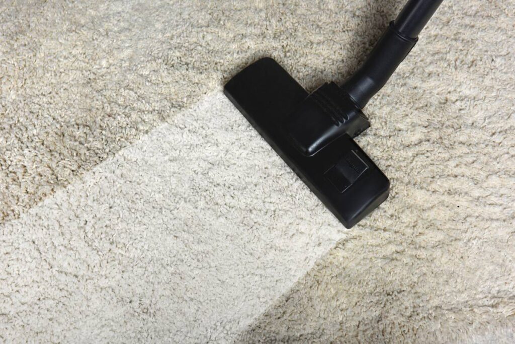 Professional carpet cleaning for homes and offices