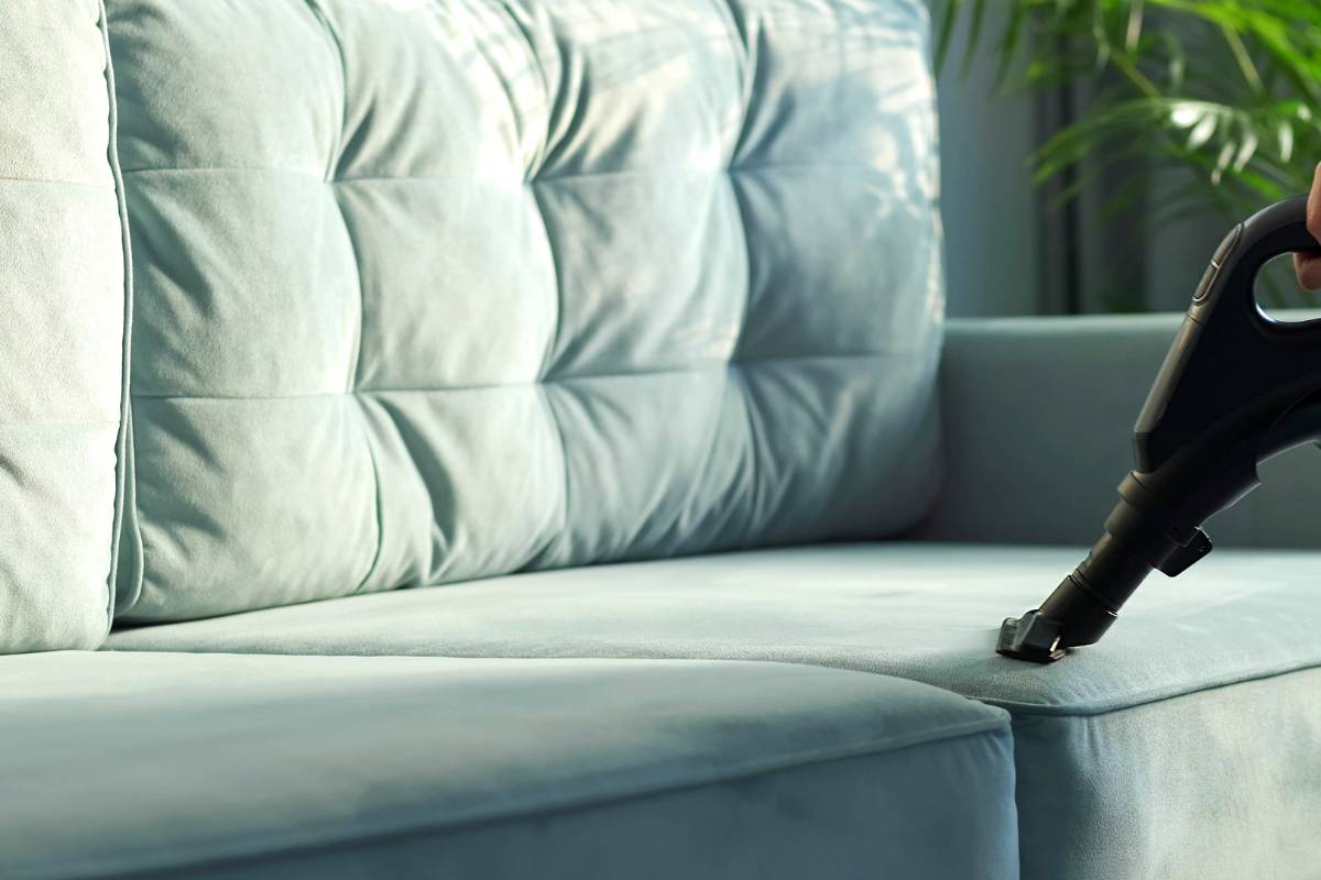 Professional couch cleaning service for deep upholstery sanitization and stain removal