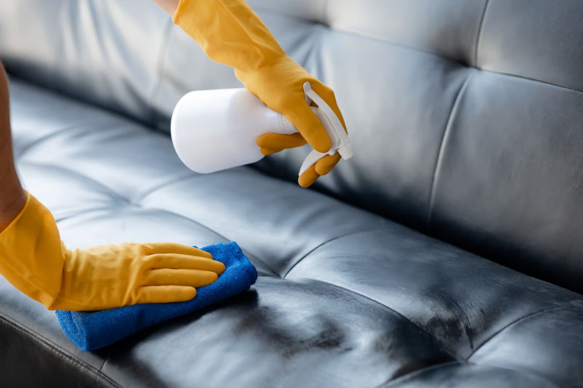 sofa leather polish service - before and after results