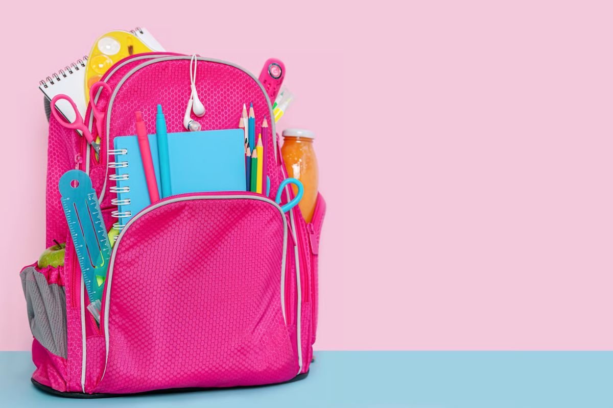 backpack washing service delhi - quality finish after professional cleaning