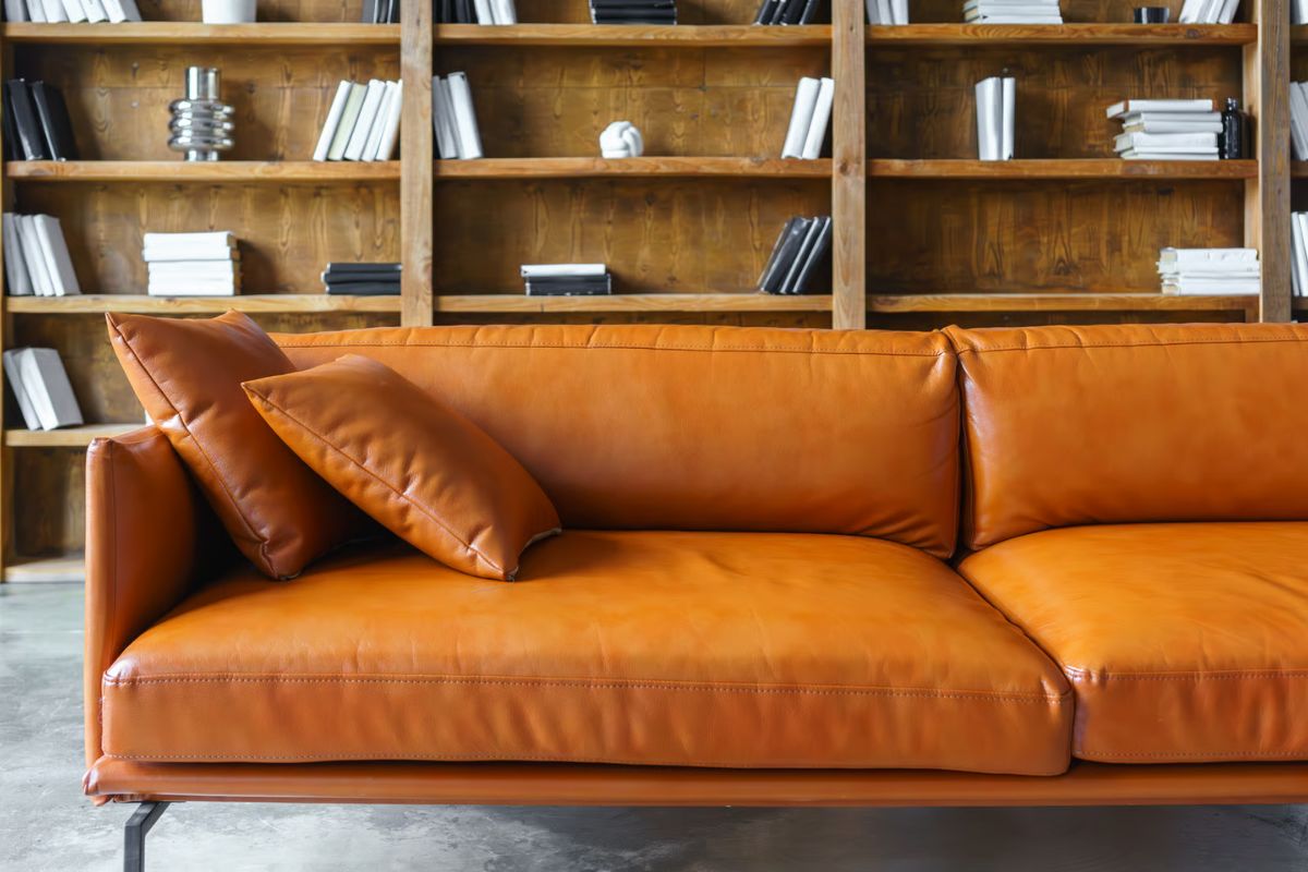 leather sofa cleaning service in delhi - Cloud Dhobi featured image