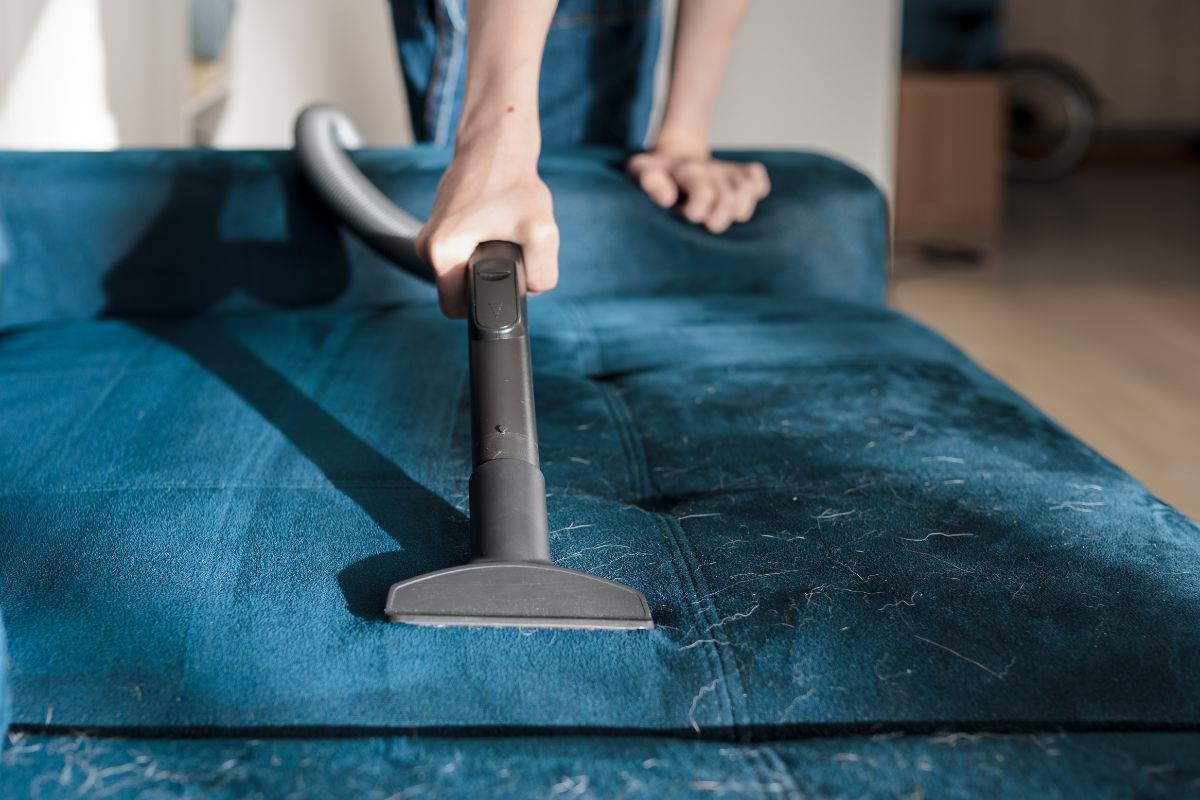 sofa cleaning price in noida - Cloud Dhobi featured image