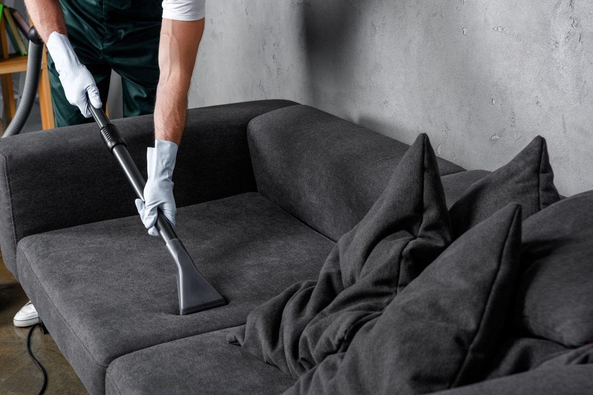 sofa cleaning price in noida - Cloud Dhobi professional service