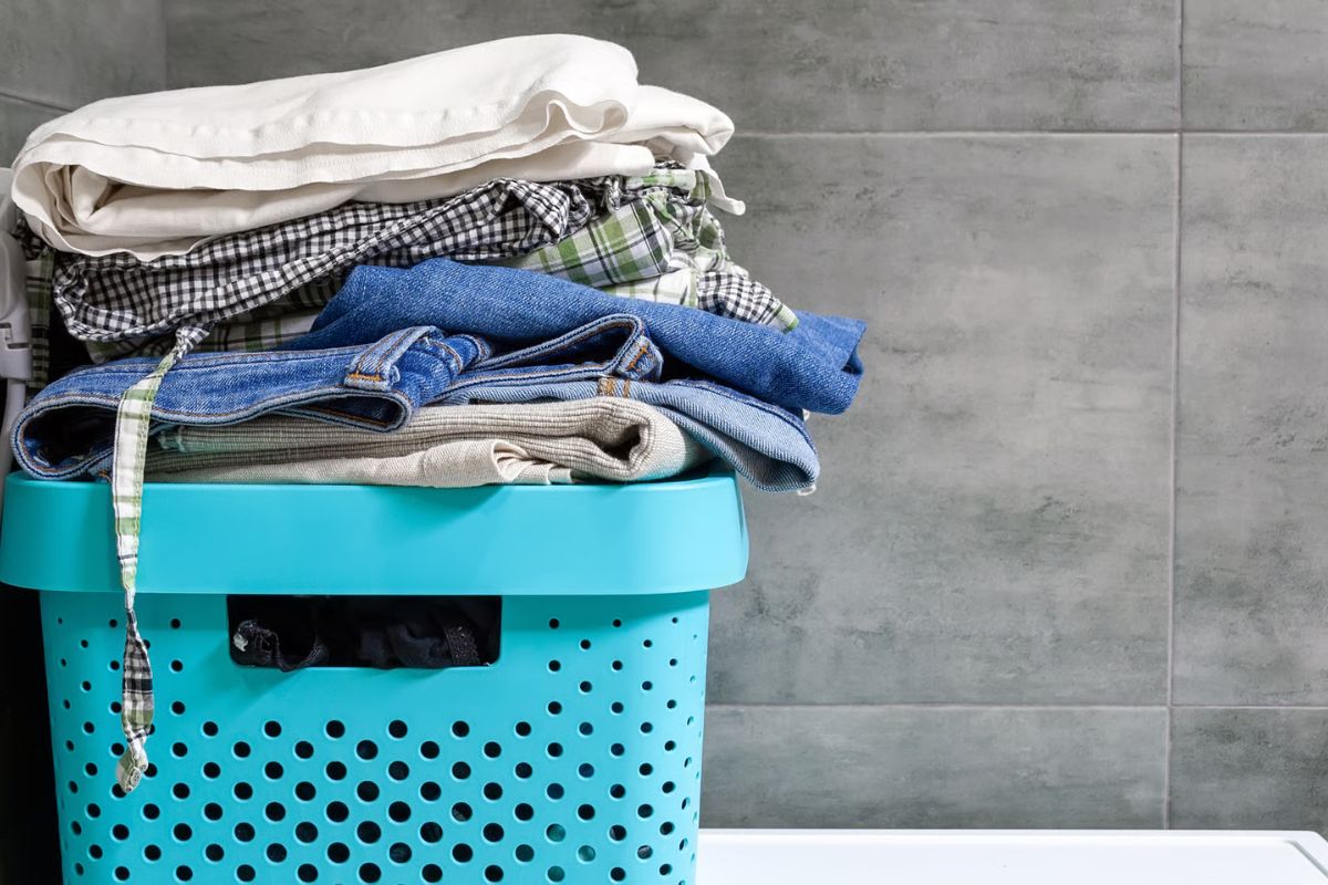 laundry cost per kg in delhi - Cloud Dhobi professional service at your doorstep in Delhi