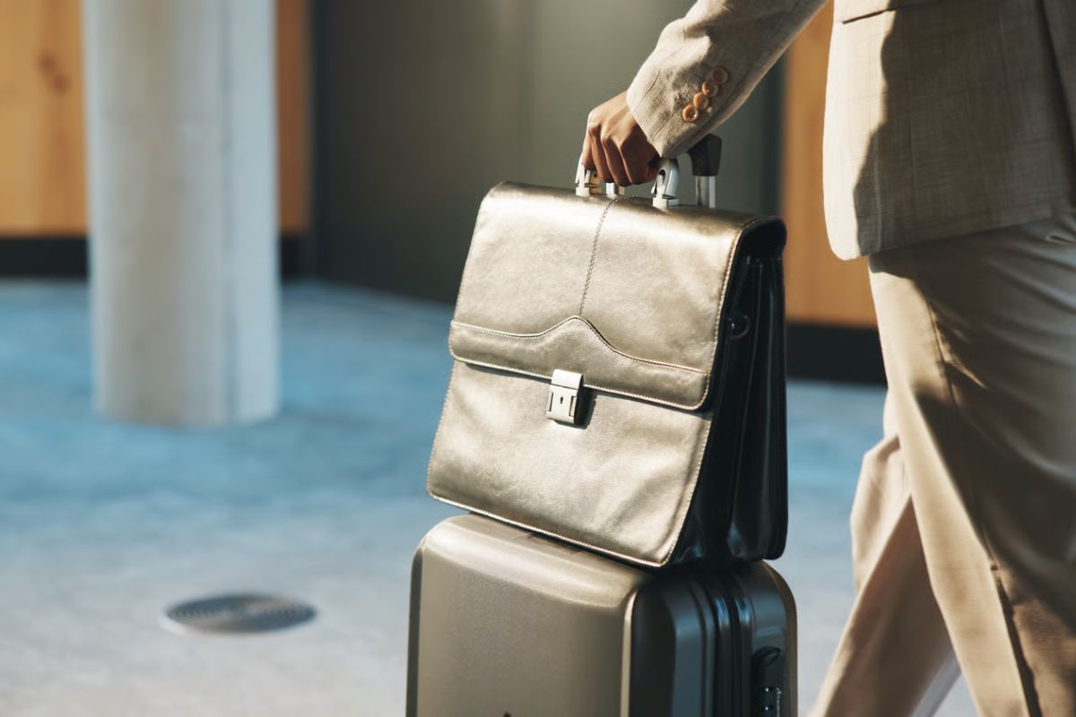 branded handbag spa delhi - Cloud Dhobi Delhi laundry and dry cleaning service
