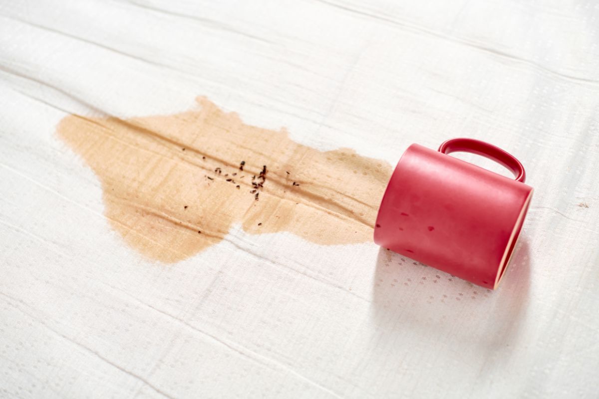 Cloud Dhobi team handling coffee and tea stains in Delhi NCR