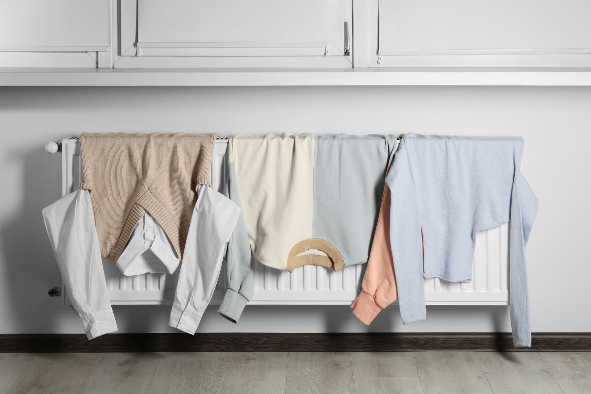 Musty Smell from Wardrobe and mildew smell removal advice from Cloud Dhobi