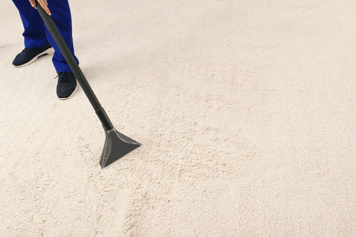 office carpet cleaning ghaziabad - before and after results
