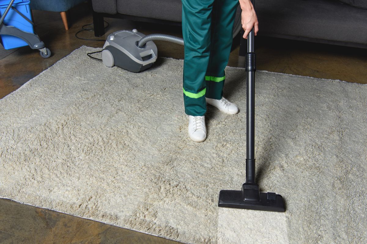 carpet cleaning service in faridabad - Cloud Dhobi featured image