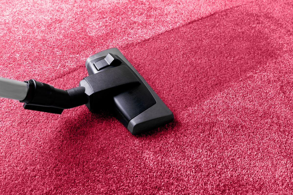 carpet cleaning service in faridabad - Cloud Dhobi professional service