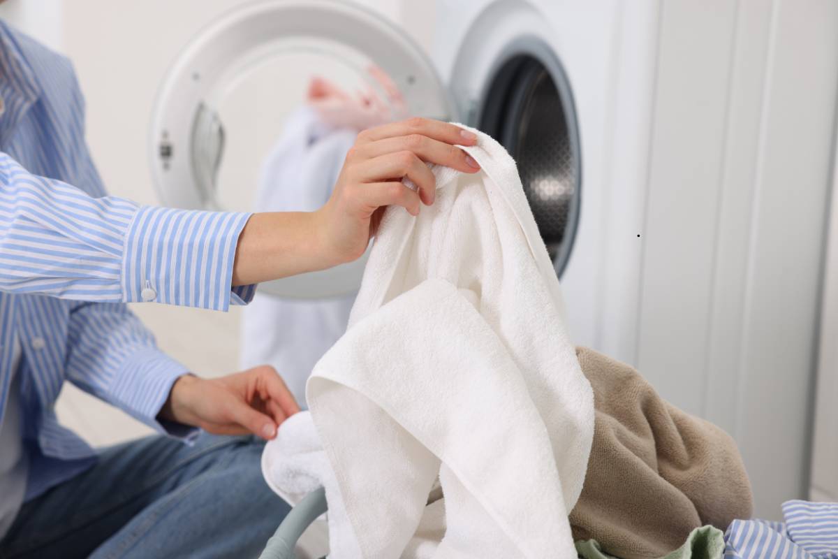 same day delivery laundry noida - before and after results