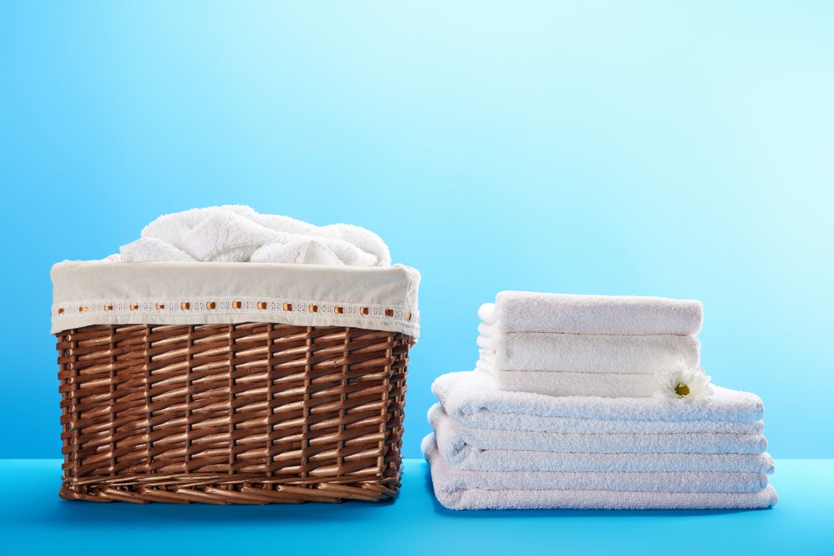 reliable laundry faridabad - before and after results