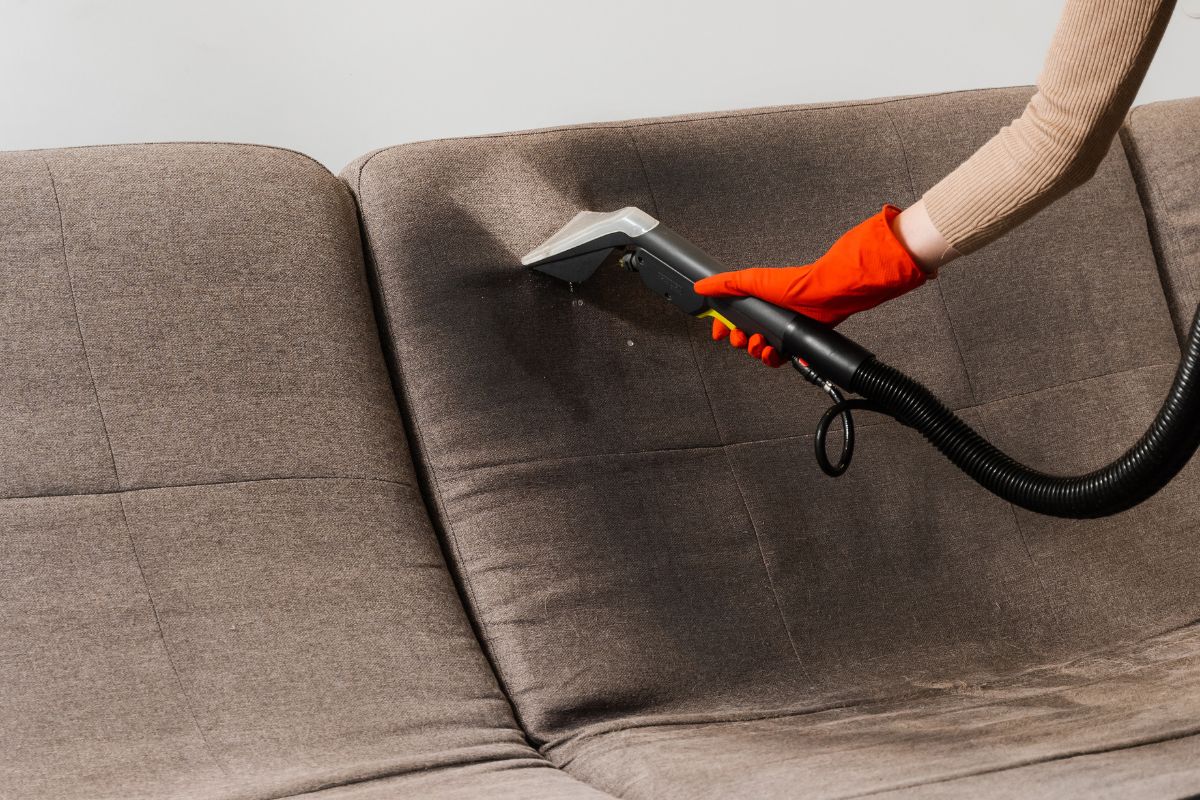 couch stain removal ghaziabad - before and after results
