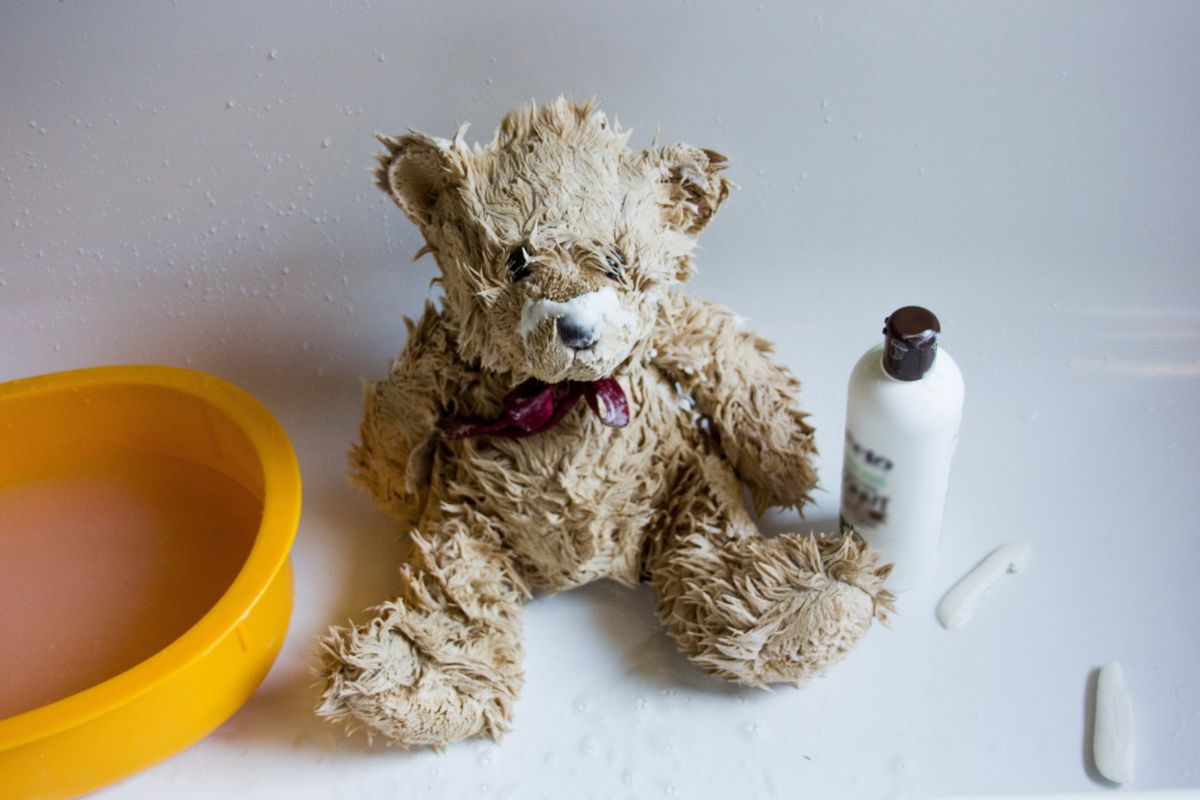 teddy bear cleaning ghaziabad - quality finish after professional cleaning